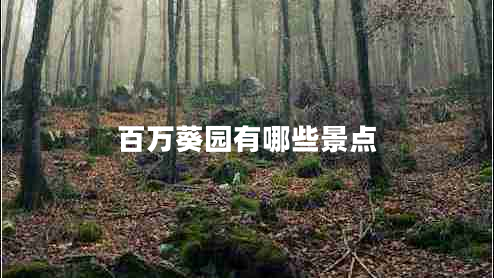 百万葵园有哪些景点
