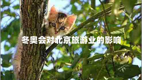 冬奥会对北京旅游业的影响