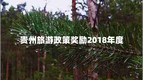 贵州旅游政策奖励2018年度