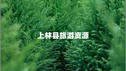 上林县旅游资源