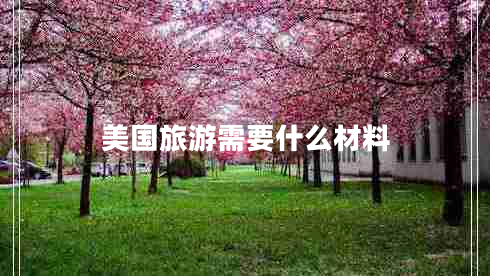 美国旅游需要什么材料