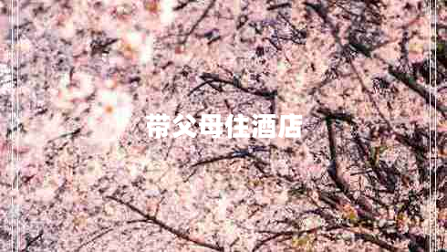 带父母住酒店