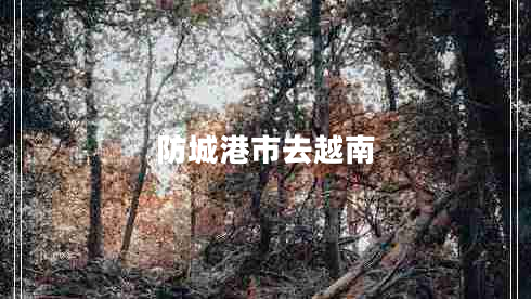 防城港市去越南