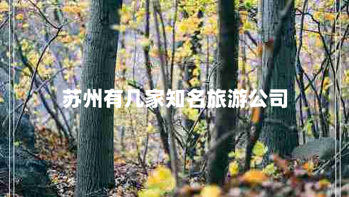 苏州有几家知名旅游公司