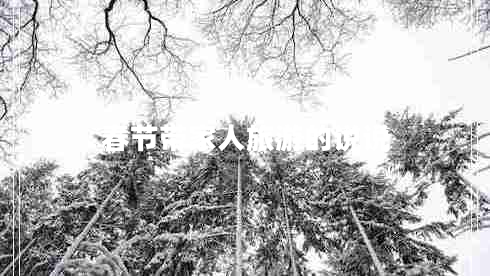 春节带家人旅游的说说