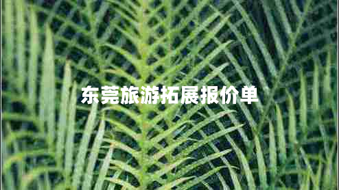 东莞旅游拓展报价单