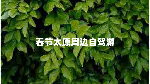 春节太原周边自驾游