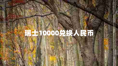 瑞士10000兑换人民币