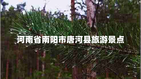 河南省南阳市唐河县旅游景点