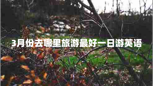 3月份去哪里旅游最好一日游英语
