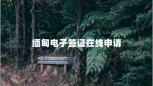 缅甸电子签证在线申请