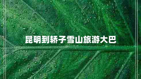 昆明到轿子雪山旅游大巴