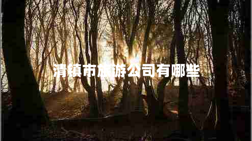 清镇市旅游公司有哪些