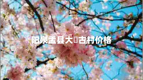 阳泉盂县大汖古村价格