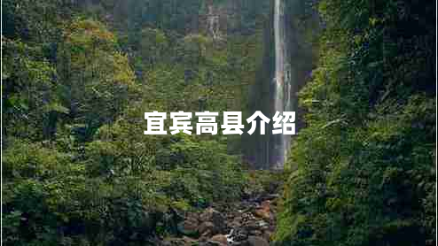 宜宾高县介绍