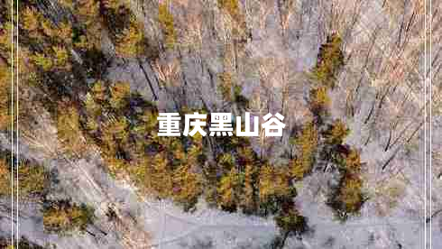 重庆黑山谷 重庆黑山谷