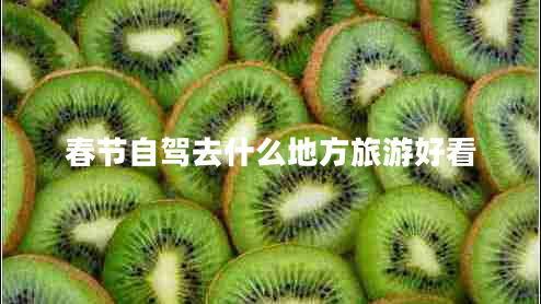 春节自驾去什么地方旅游好看