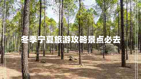 冬季宁夏旅游攻略景点必去