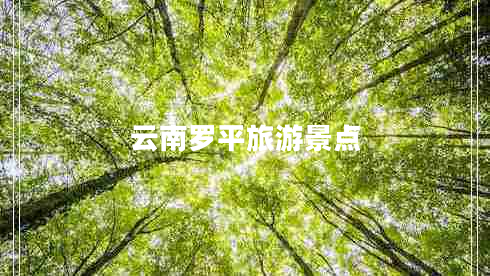 云南罗平旅游景点