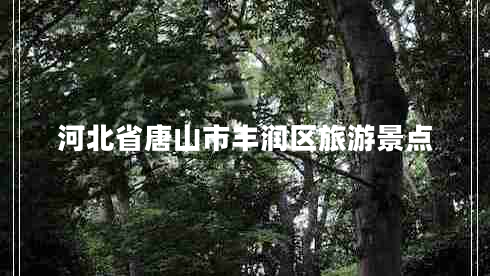 河北省唐山市丰润区旅游景点
