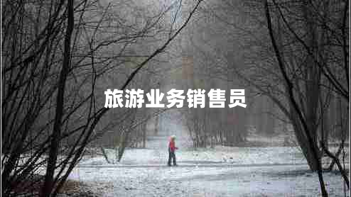 旅游业务销售员