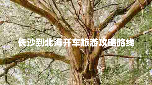长沙到北海开车旅游攻略路线