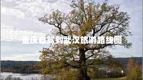 重庆自驾到武汉旅游路线图