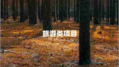 旅游类项目