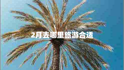 2月去哪里旅游合适