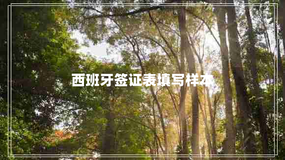 西班牙签证表填写样本