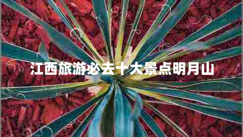 江西旅游必去十大景点明月山