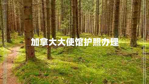 加拿大大使馆护照办理