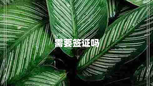 需要签证吗