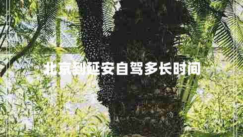 北京到延安自驾多长时间
