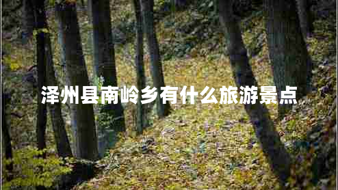 泽州县南岭乡有什么旅游景点 泽州县南岭乡有什么旅游景点