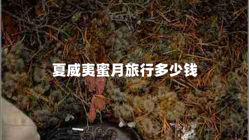 夏威夷蜜月旅行多少钱
