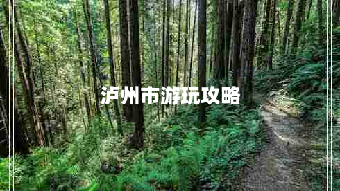 泸州市游玩攻略