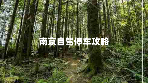 南京自驾停车攻略