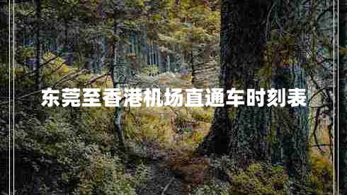 东莞至香港机场直通车时刻表
