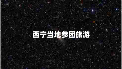 西宁当地参团旅游