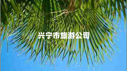 兴宁市旅游公司