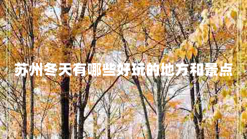 苏州冬天有哪些好玩的地方和景点