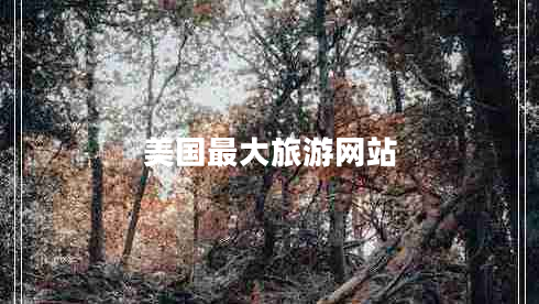 美国最大旅游网站