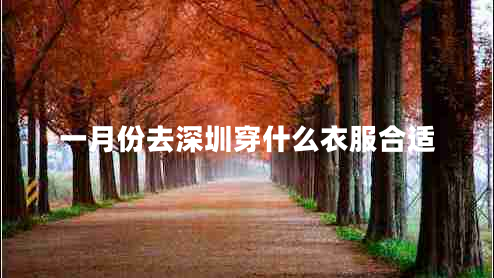 一月份去深圳穿什么衣服合适