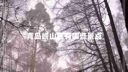 青岛崂山区有哪些景点