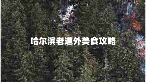 哈尔滨老道外美食攻略