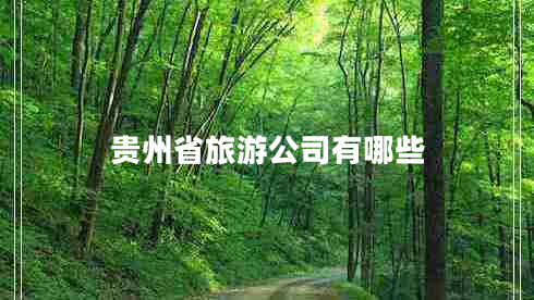 贵州省旅游公司有哪些