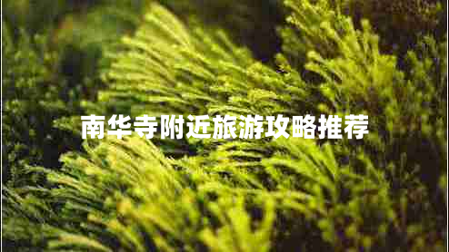 南华寺附近旅游攻略推荐