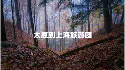 太原到上海旅游团