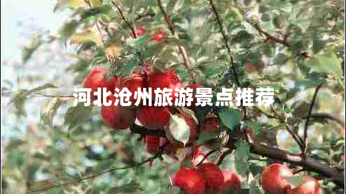 河北沧州旅游景点推荐